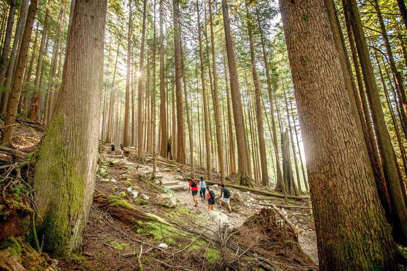 Grouse Mountain Skyride Admission Ticket - Timing, weather, and the transition months that can throw you off