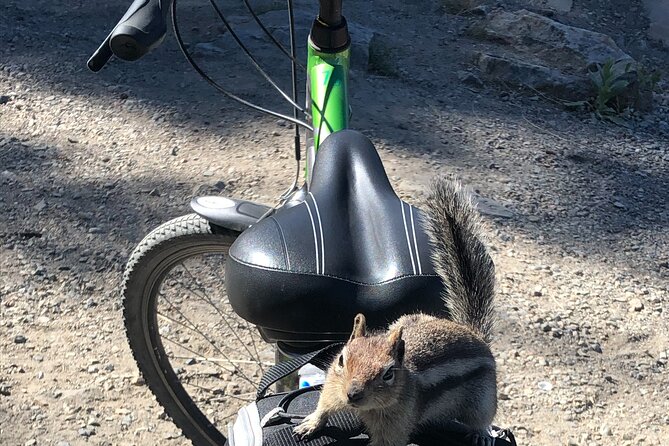 Guided Bike Tour on Historical Kettle Valley Railway at Myra Canyon & Wine Tour - Myra Canyon trestles: what makes this ride special