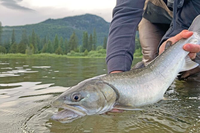 Guided Fishing Adventure in Whistler - Fly fishing lessons that fit beginners, not just experts