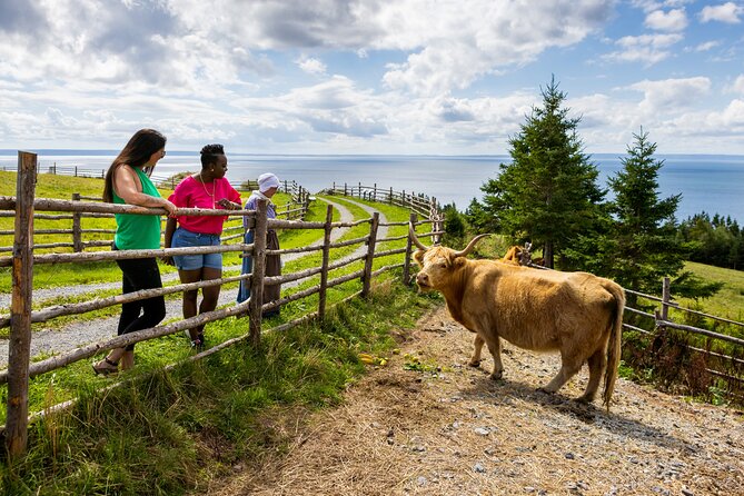 Guided Highland Village and Baddeck Bus Tour for Cruise Excursion - Who should book this one from a cruise ship in Sydney?
