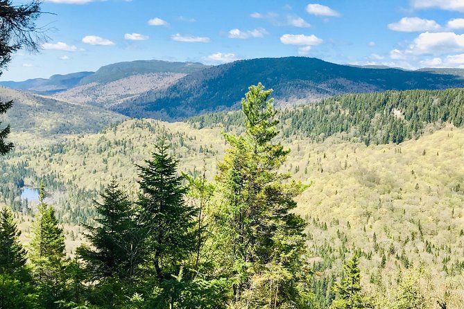 Guided Hike in Jacques-Cartier National Park - The Guided Gourmet Hike: Easy Trails, Lots of Stops
