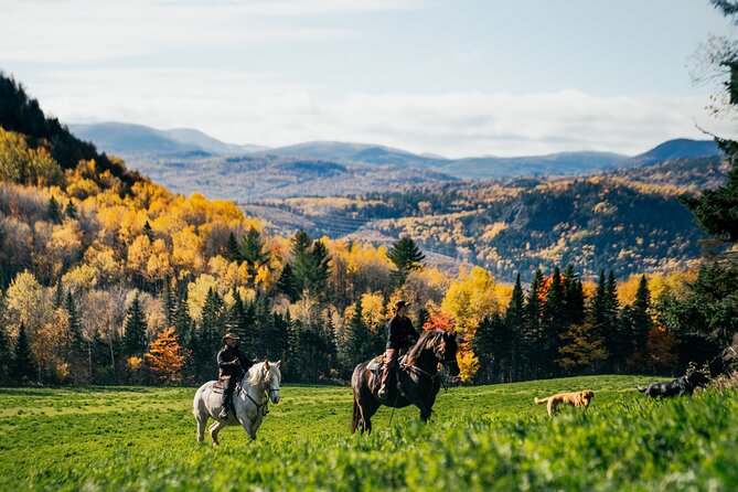 Guided Horse Riding in the Bay of Saint Paul Valley - Price and Logistics: Why $82.42 Can Make Sense for an Hour