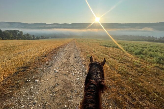 Guided Horse Riding in the Bay of Saint Paul Valley - Safety and Beginner Comfort: How This Ride Stays Relaxed