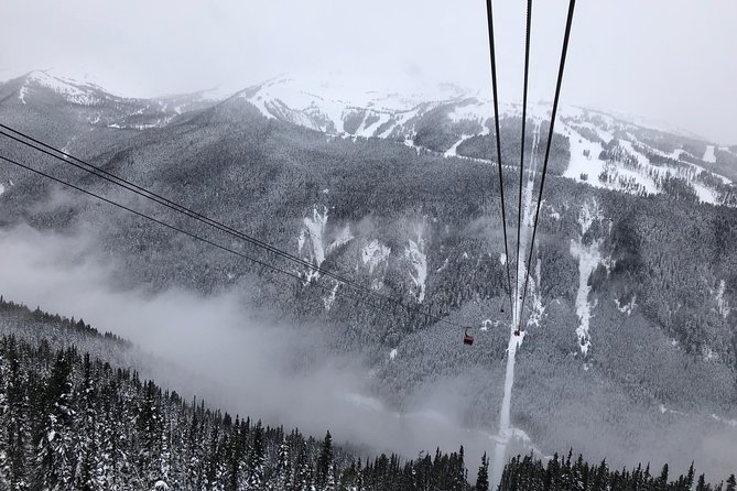 Guided Sightseeing Tour in Vancouver, Shannon Falls and Whistler - Brackendale Eagle Reserve and Porteau Cove’s The Chief