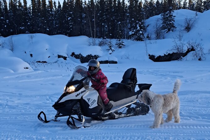 Guided Snowmobile Adventure - A beginner ride that actually starts with training