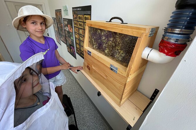 Guided tour « from the bee to the bottle » with tasting - English - The Bee-to-Bottle Story You Hear in 45 Minutes