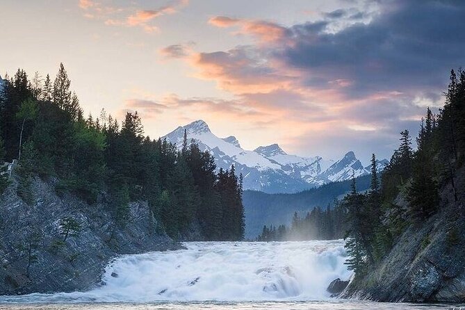 Guided Tour to Banff Highlights & Wildlife With Gondola Admission - The Tour at a Glance: 4 Hours, Max 12, Gondola Included