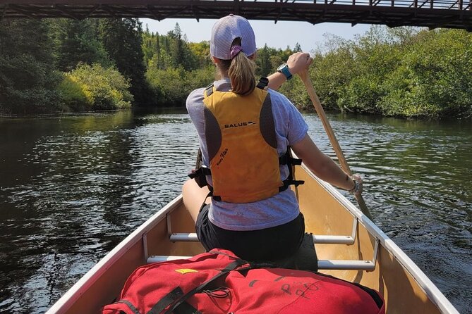 Guided Tours Algonquin Park - Portages and Pacing: Why Small Groups Make a Big Difference