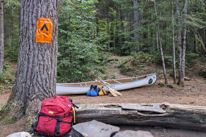 Guided Tours Algonquin Park - Who This Algonquin Guided Canoe Tour Suits Best