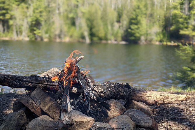 Guided Tours Algonquin Park - When to Watch the Weather and Your Expectations