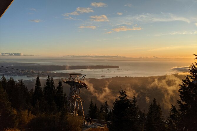 Guided Vancouver Hiking Highlights Day Tour with Gondola Download - Gondola Skyride download: views above Douglas firs to the Gulf and beyond