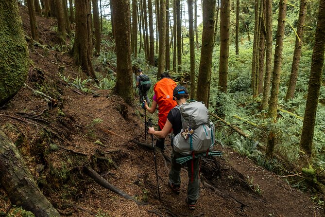 Guided Vancouver Hiking Highlights Day Tour with Gondola Download - Lynn Canyon Suspension Bridge and Twin Falls in North Vancouver