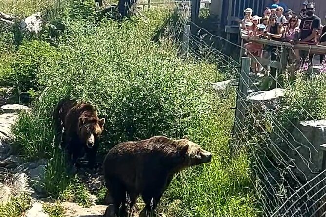 Guided Vancouver Hiking Highlights Day Tour with Gondola Download - Price and value: what you get for $134.13 in about 7 hours