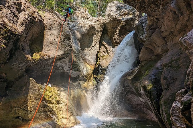 Half Day Canyoning Experience in Revelstoke - Price and value: is $146.12 per person worth it?