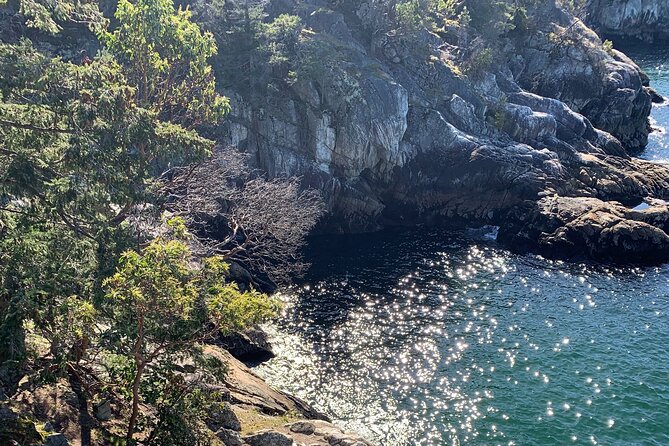 Half-day Hike and Bike Tour in Vancouver - Price and value: what $131.13 buys you