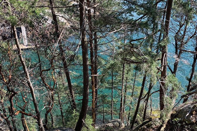 Half-day Hike and Bike Tour in Vancouver - Timing, pickup, and how the half-day really plays out