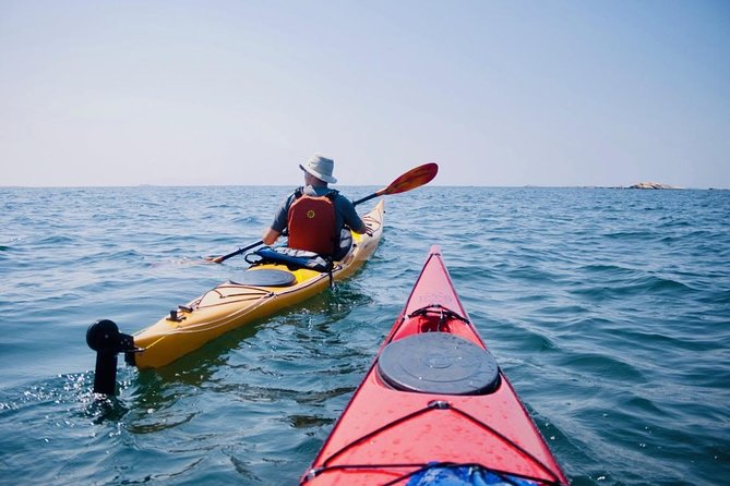 Half-Day Orleans Island Small-Group Sea Kayaking Tour - Orléans Island From the Water, Not the Usual Viewpoints