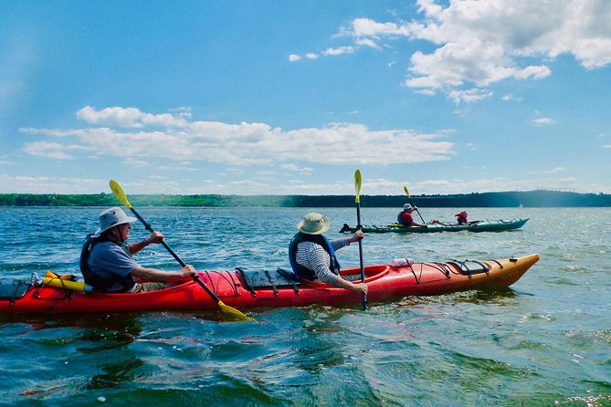 Half-Day Orleans Island Small-Group Sea Kayaking Tour - Gear, Clothing, and a Safety Brief That Sets the Tone