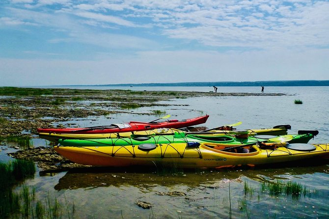 Half-Day Orleans Island Small-Group Sea Kayaking Tour - What You Learn Before You Paddle (Even If You Are Brand New)