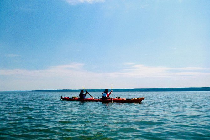 Half-Day Orleans Island Small-Group Sea Kayaking Tour - Price and Value: Is $59.20 Worth It?