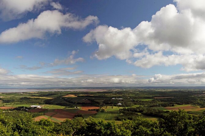 Half-Day Small-Group Tour of Annapolis Valley - Blomidon Look-Off: a quick stop for big Minas Basin views