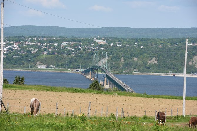 Half-Day Trip to Montmorency Falls and Ste-Anne-de-Beaupré from Quebec city - Copper art at Albert Gilles Museum: what you’ll actually learn