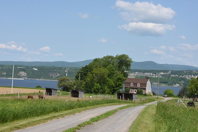 Half-Day Trip to Montmorency Falls and Ste-Anne-de-Beaupré from Quebec city - Ile d’Orléans: a short scenic drive, then chocolate with a view