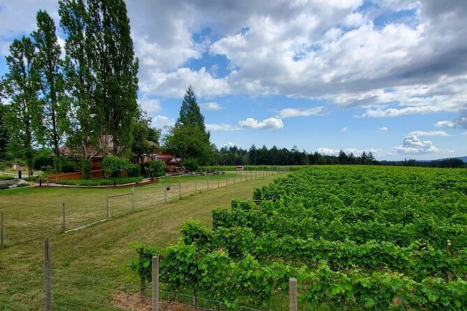 Half-Day Victoria to Cowichan Valley Wine Tour with Tastings - How the Guide Changes the Whole Experience (And Why Group Size Matters)