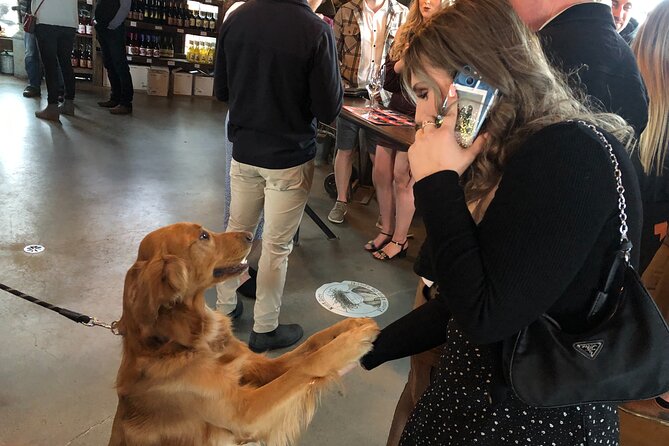 Half-Day West Kelowna Afternoon Wine tour - What to expect at each winery stop