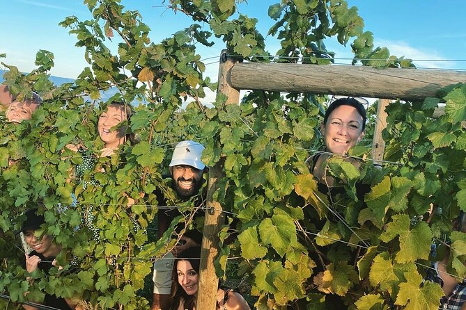 Half-Day West Kelowna Afternoon Wine tour - Where pickup happens, and how to avoid day-of confusion