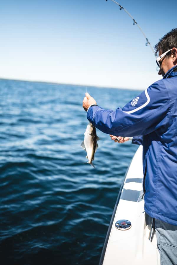 Halifax: 2-Hour Deep Sea Fishing Tour - Price and Value Check at $99 Per Person
