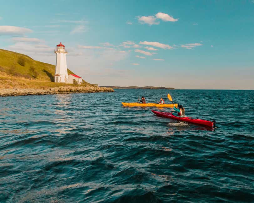 Halifax: Guided Kayak Tour with Multiple Options - Key things I’d plan around
