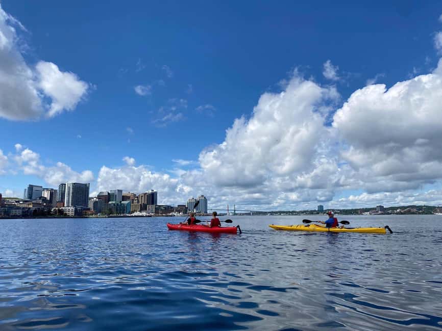 Halifax: Guided Kayak Tour with Multiple Options - What You’ll Paddle Past: Waterfront Views, Georges Island, and the Bridge