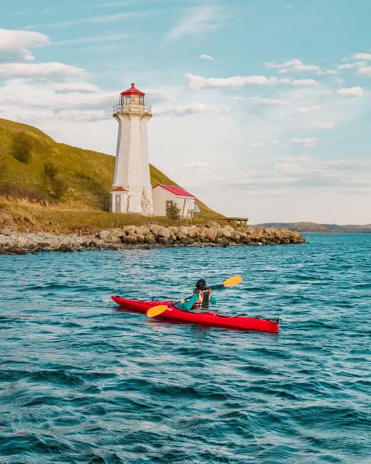 Halifax: Guided Kayak Tour with Multiple Options - Choosing the Right Option: 45 Minutes, 1 Hour, 90 Minutes, or 2 Hours