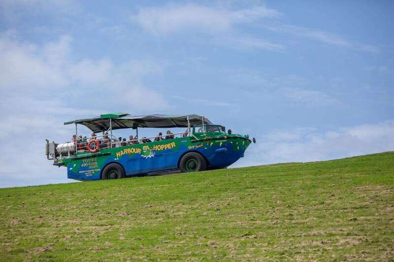 Halifax: Harbour Hopper City & Water Cruise in a Duck Boat - What Rules to Know Before You Go
