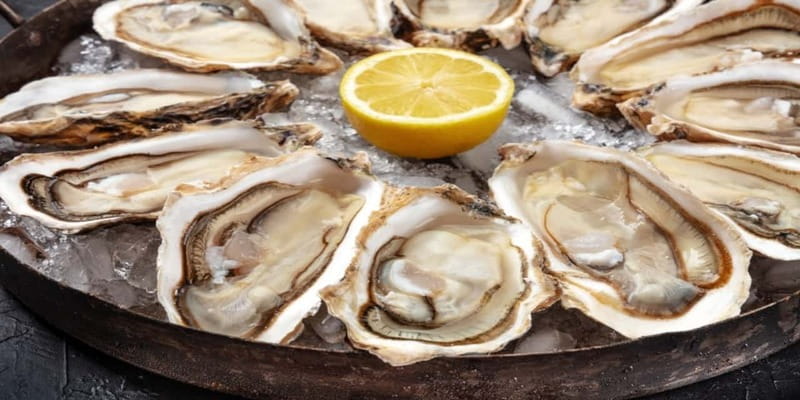 Halifax Harbourfront Food Walking Tour - Key highlights worth marking on your mental map