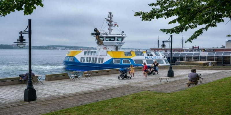 Halifax Harbourfront Food Walking Tour - Small group size, guide style, and why conversation matters