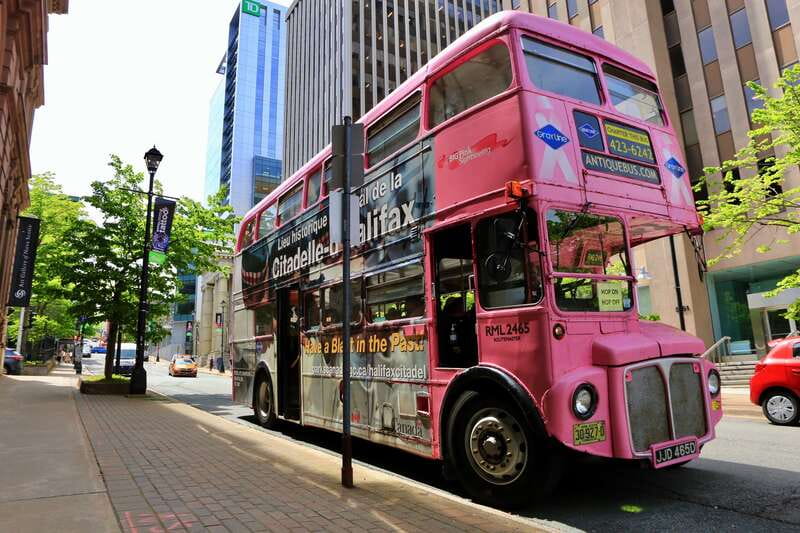 Halifax: Hop-on Hop-Off Double Decker Bus City Tour - Getting started at Lower Water Street, and picking your first bus