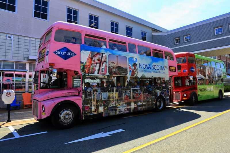 Halifax: Hop-on Hop-Off Double Decker Bus City Tour - What to watch for on board: vintage buses, restrictions, comfort