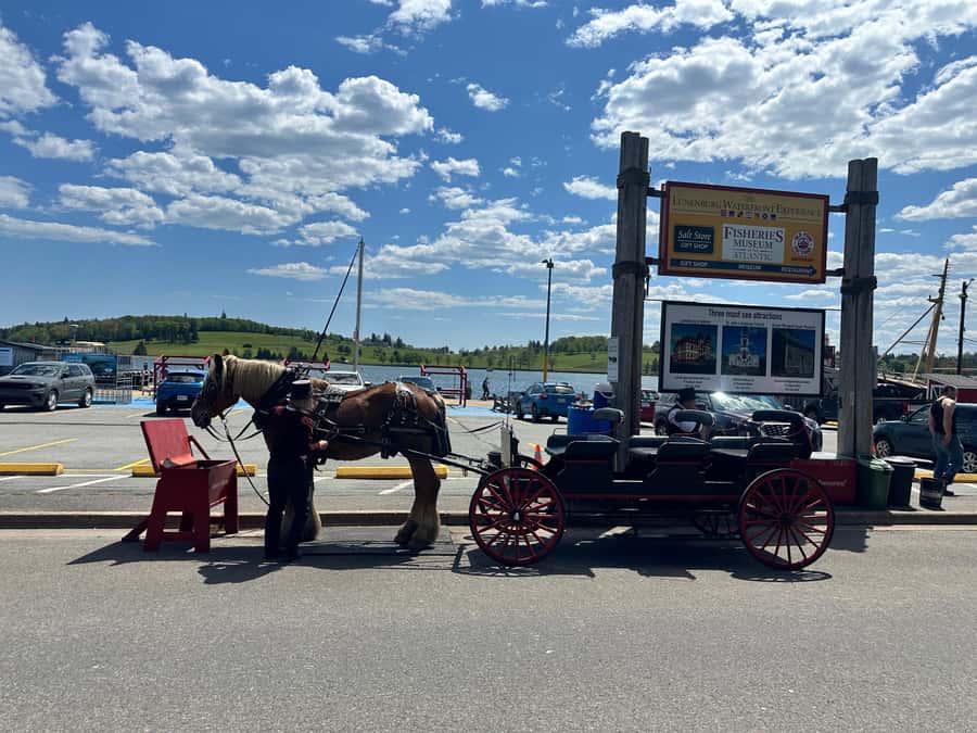 Halifax: Lunenburg and Mahone Bay Private Tour - Who Should Book This Private Tour