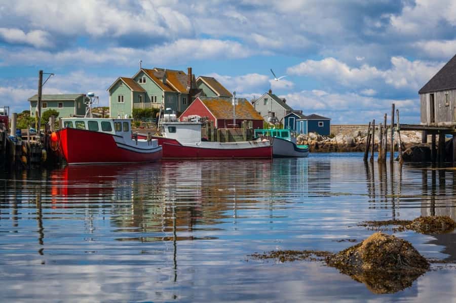 Halifax Small-Group Express Peggy’s Cove Tour - Who this Peggy’s Cove express tour fits best