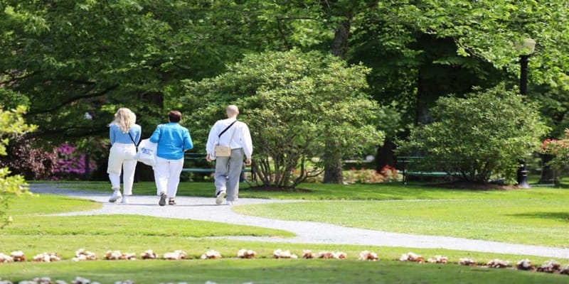 Halifax: Small Group Walking Tour with Citadel & Museum - Key Tour Highlights to Know Before You Go