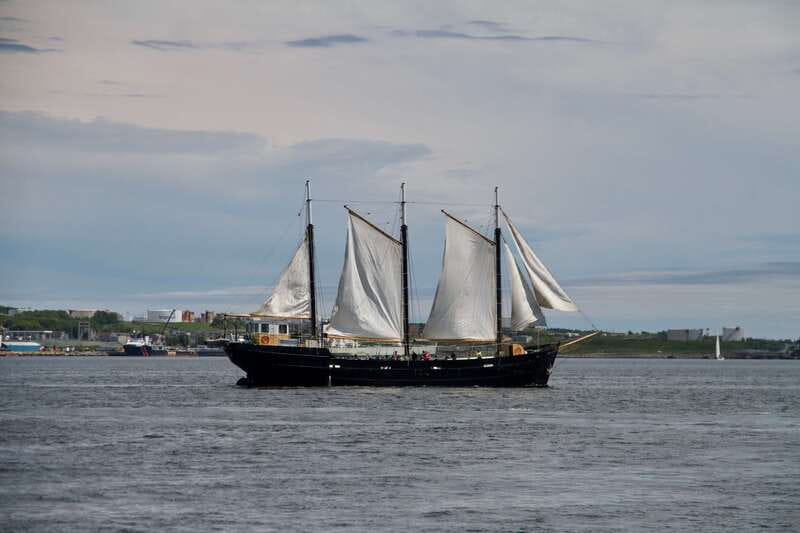 Halifax: Tall Ship Harbor Sailing Cruise with Live Music - Key highlights you should care about