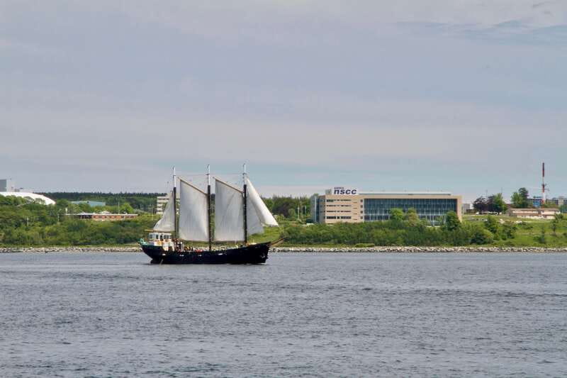 Halifax: Tall Ship Harbor Sailing Cruise with Live Music - Helping raise the sails: fun, kid friendly, and sometimes weather dependent