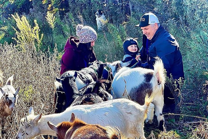 Haute Goat Shmurgle in Ontario - Key things about Haute Goat Shmurgle that are worth planning for