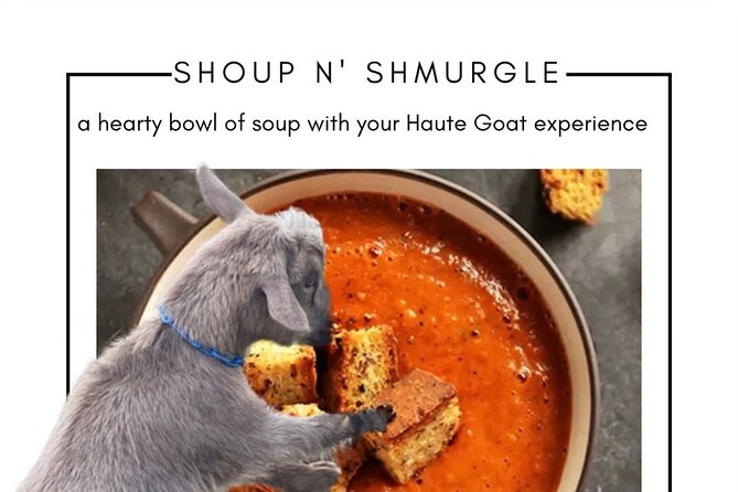 Haute Goat Shmurgle in Ontario - Goat Playground: where the bonding happens