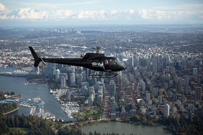 Helicopter Tour of Vancouver City (Depart SKY Hangar) - Stanley Park from above: the 1001 acres you can actually map