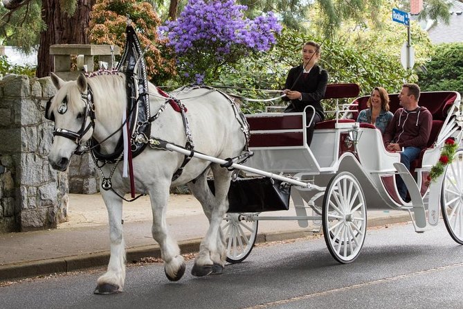 Heritage Horse-Drawn Carriage Experience in Victoria - Price and comfort: $123.92 per group, sized for real life