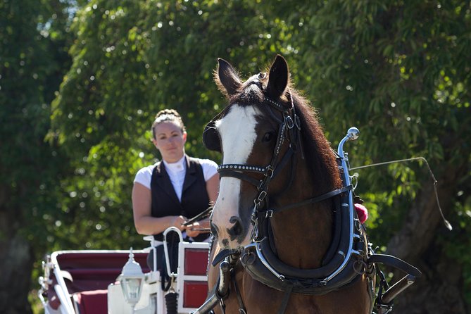Heritage Horse-Drawn Carriage Experience in Victoria - The route: Legislative Assembly to Old Town, with commentary that matches what you see