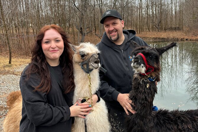 Hike & Lunch with Llamas - Key Highlights to Look For